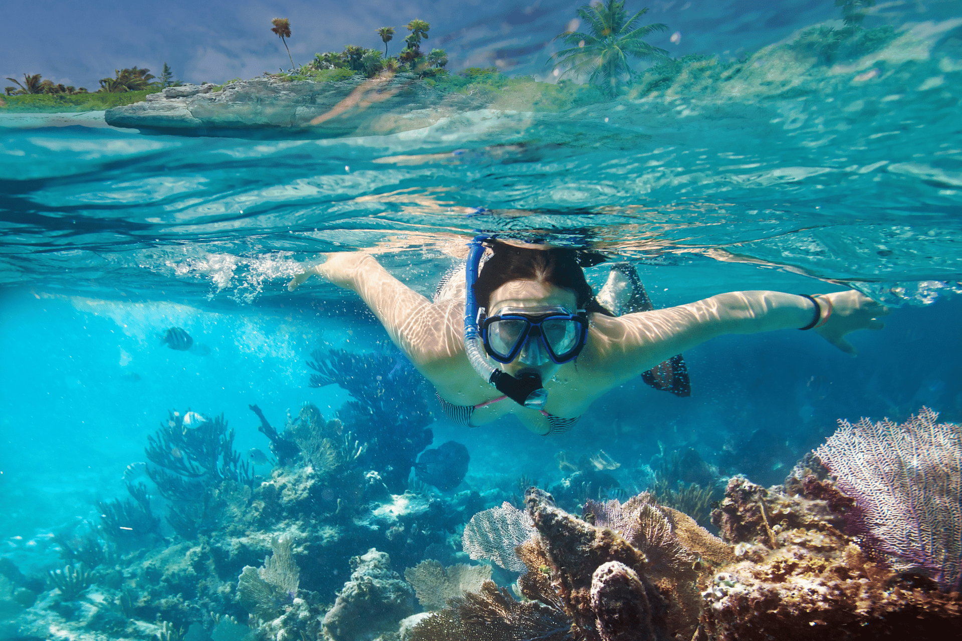 Diving Snorkeling