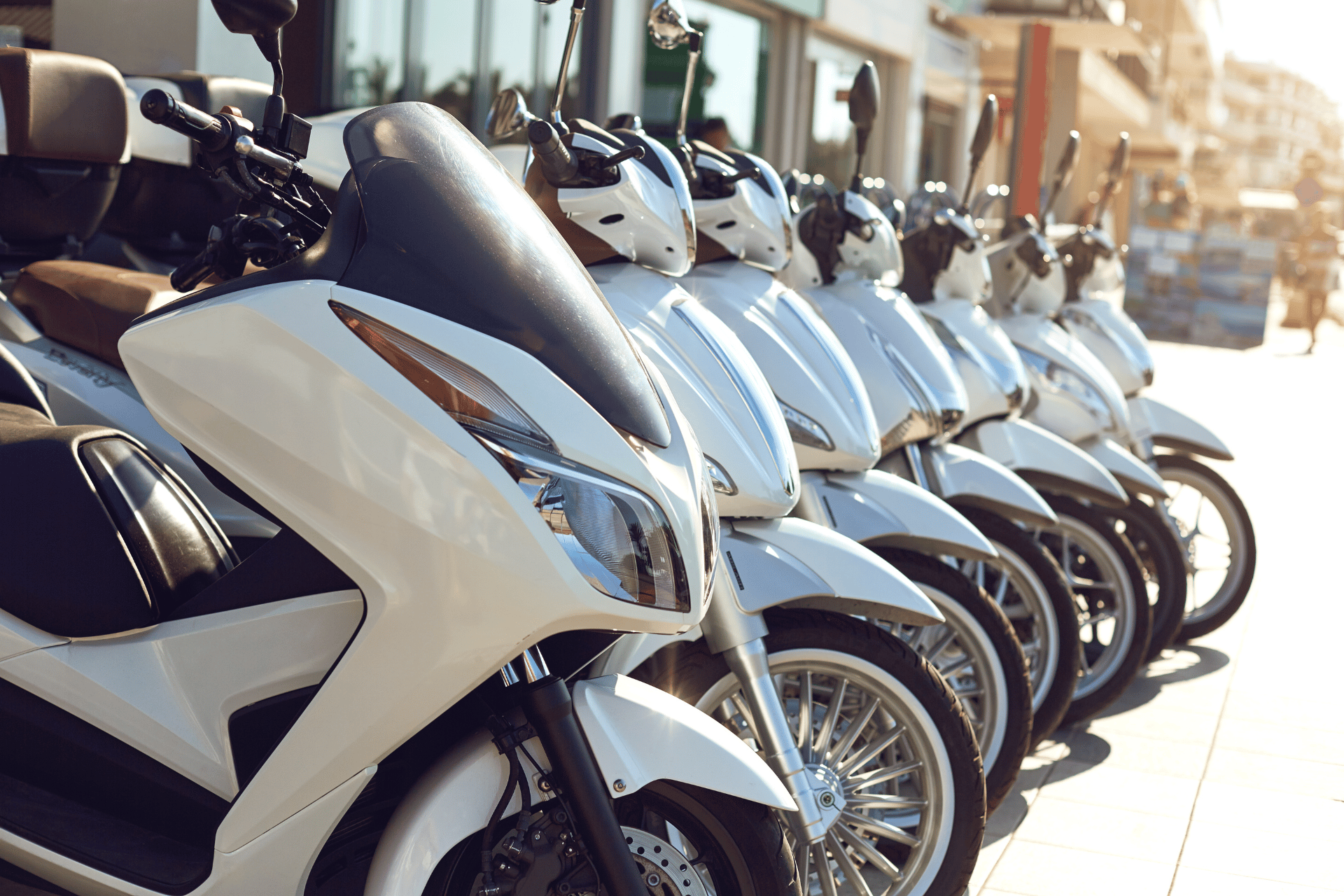 Daily Motor Rental